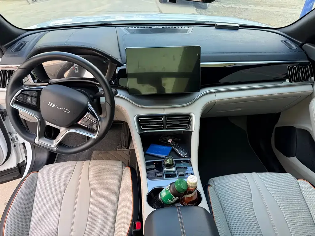 BYD PLUS New Energy 2023 из CN, фото 10