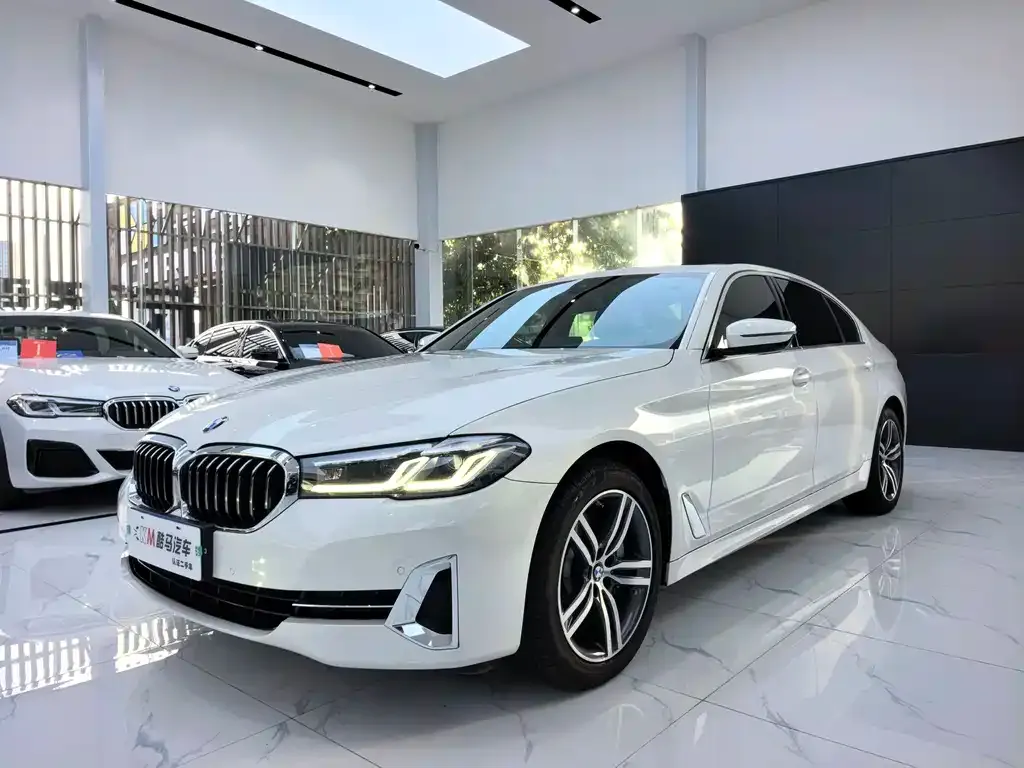 BMW 5 Series 2022 из CN, фото 1