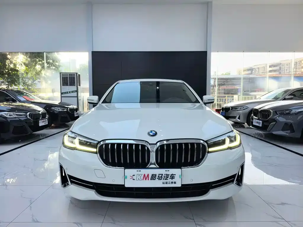 BMW 5 Series 2022 из CN, фото 5