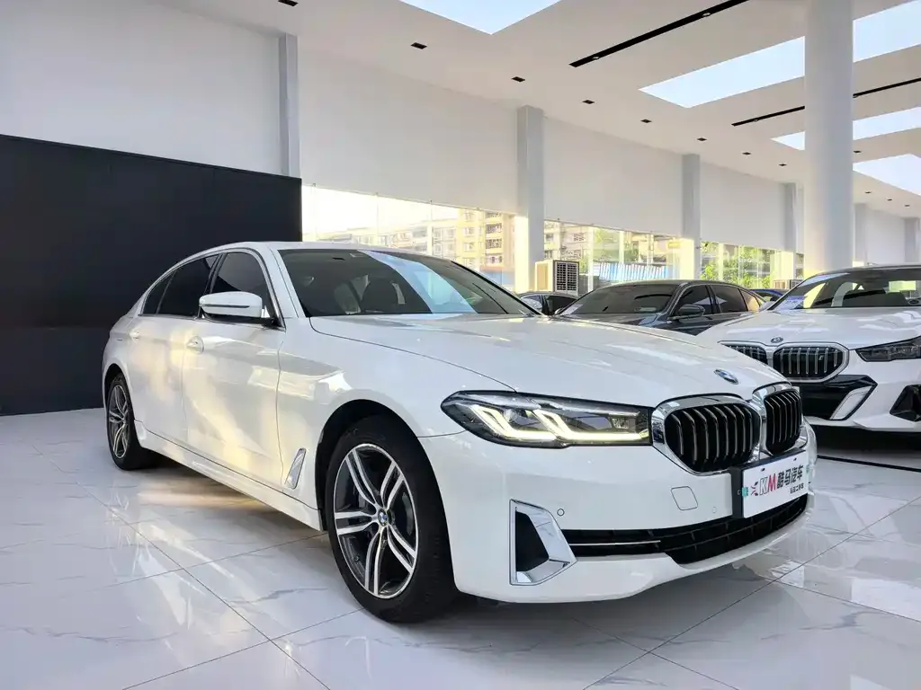 BMW 5 Series 2022 из CN, фото 10