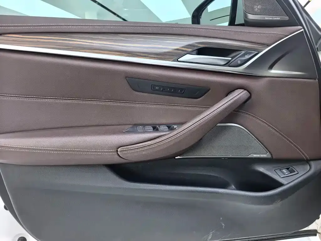BMW 5 Series 2022 из CN, фото 6