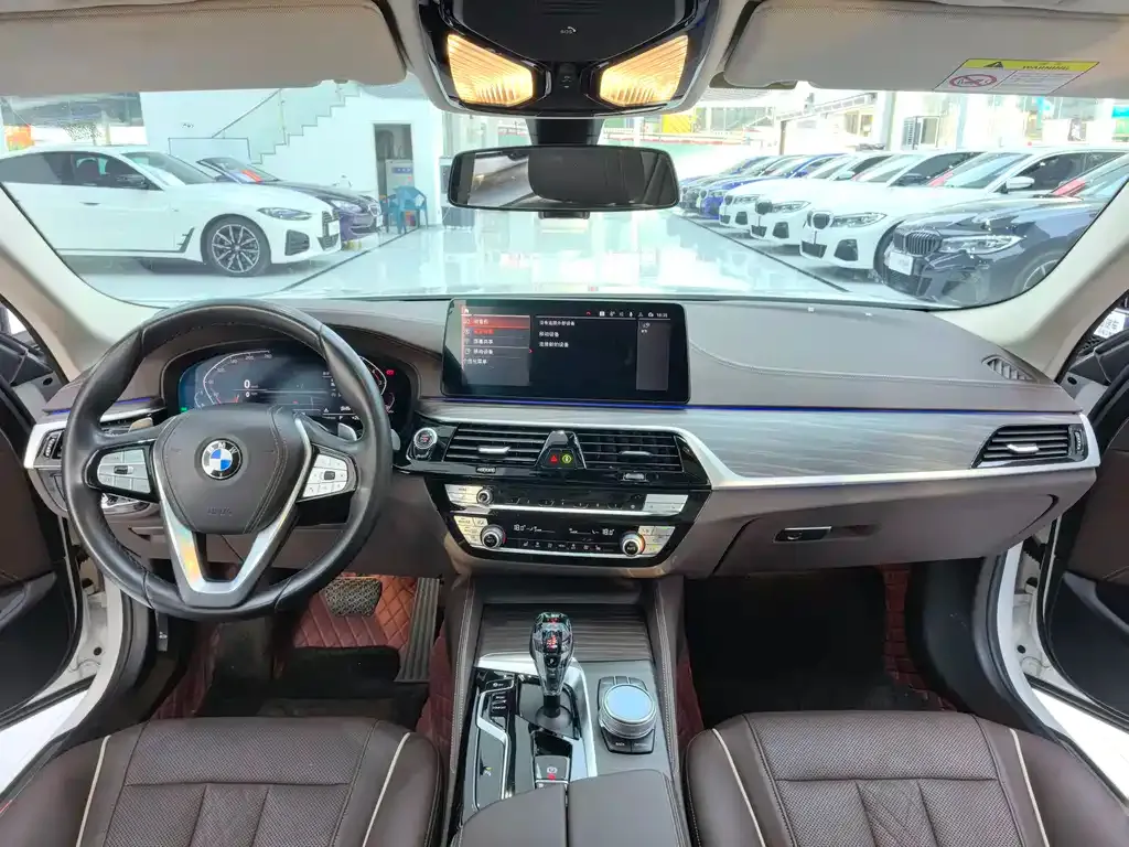 BMW 5 Series 2022 из CN, фото 8