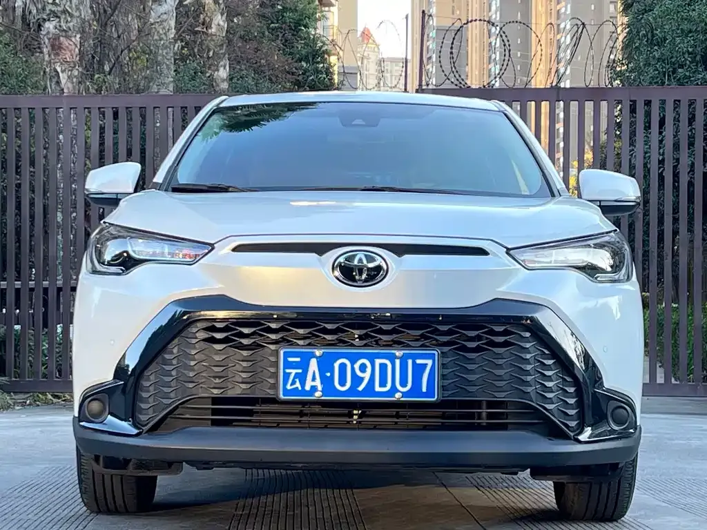 Toyota Frontlander 2022 из CN, фото 5