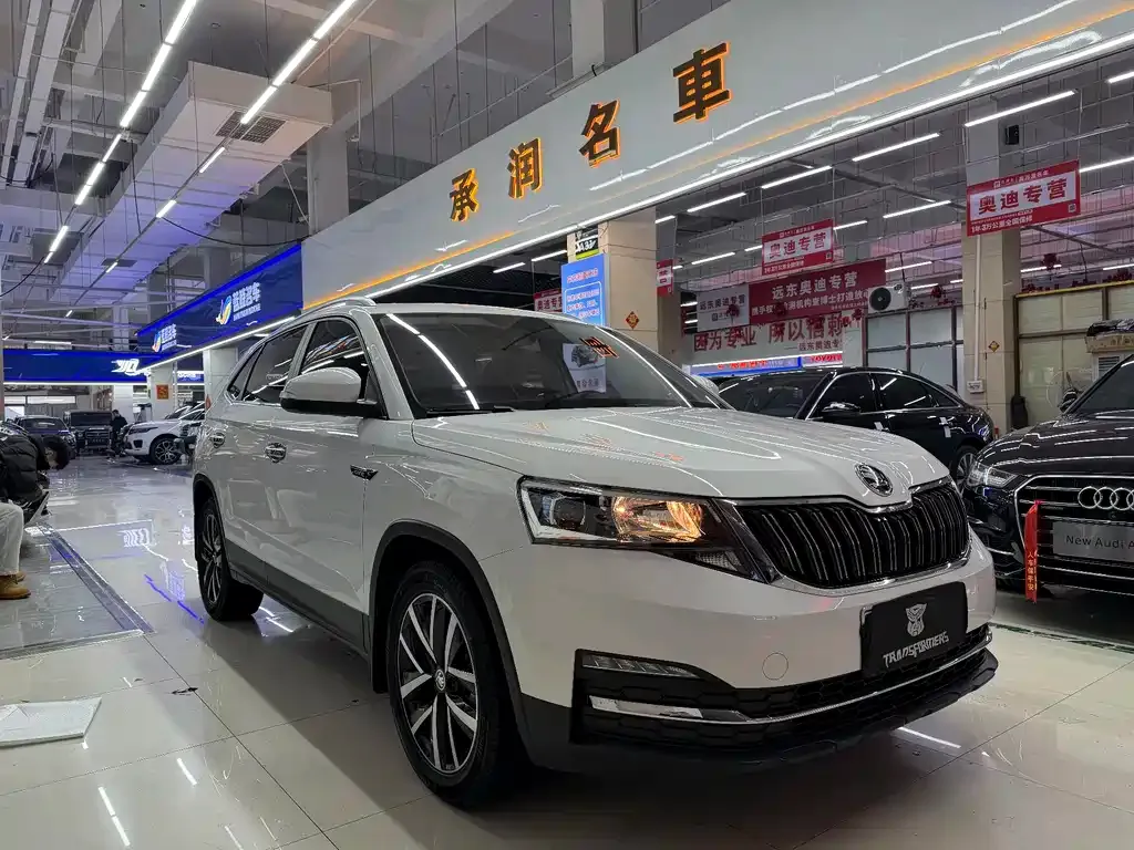 Skoda Kamiq 2022 из CN, фото 10