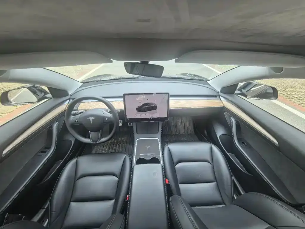 Tesla Model 3 2023 из CN, фото 2