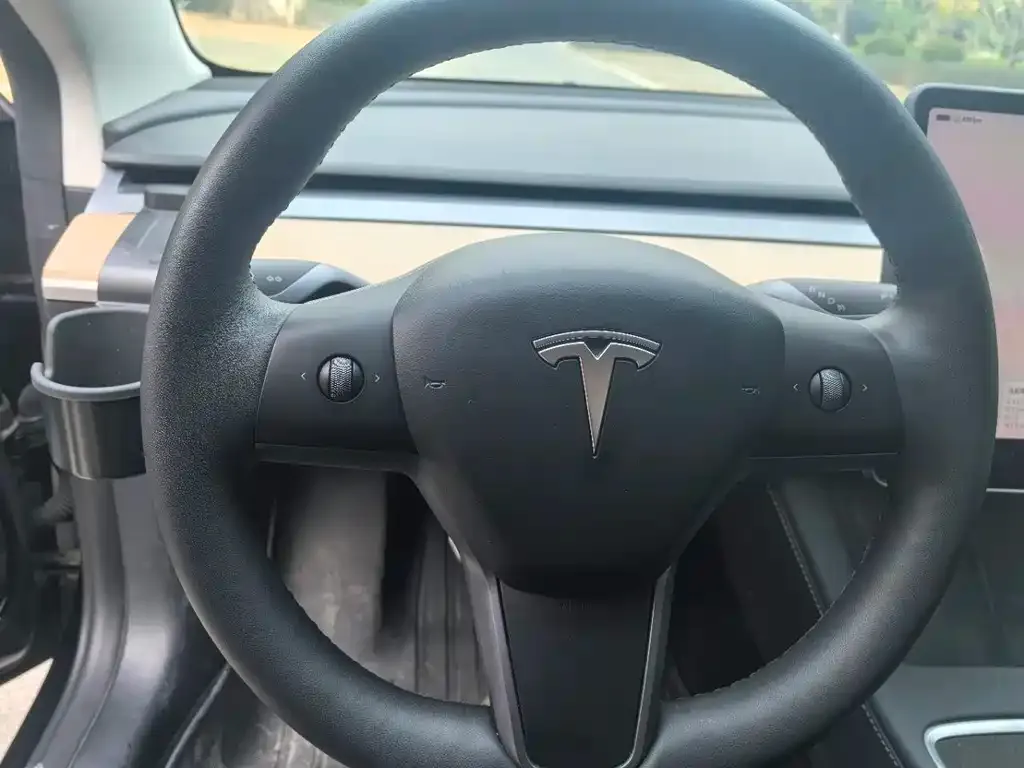 Tesla Model 3 2023 из CN, фото 3