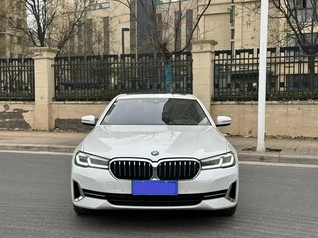 BMW 5 Series 2022 из CN, фото 1