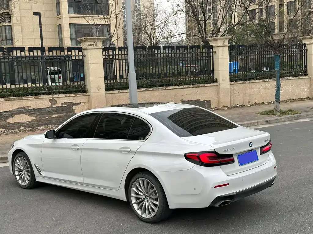 BMW 5 Series 2022 из CN, фото 10