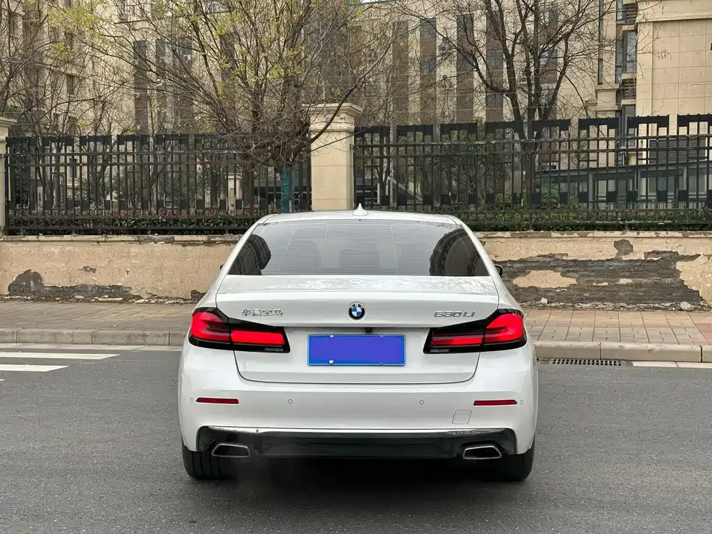 BMW 5 Series 2022 из CN, фото 7