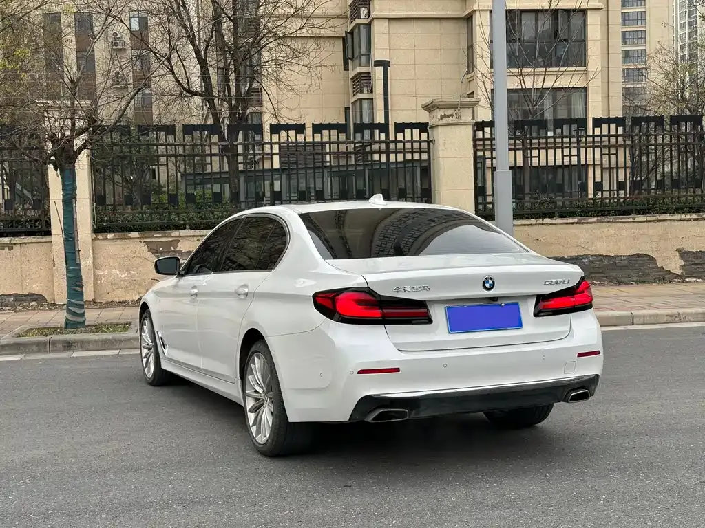 BMW 5 Series 2022 из CN, фото 6