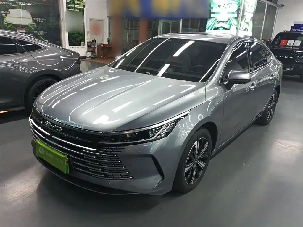 BYD Destroyer 05 2023 из CN, фото 1