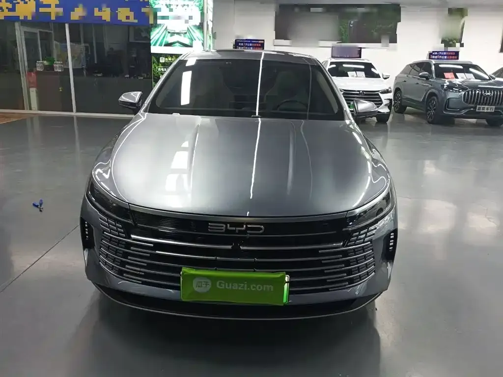 BYD Destroyer 05 2023 из CN, фото 10