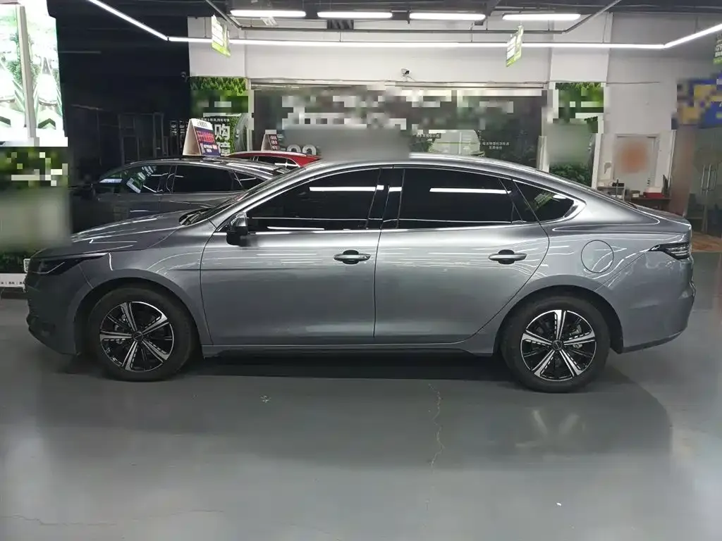 BYD Destroyer 05 2023 из CN, фото 9
