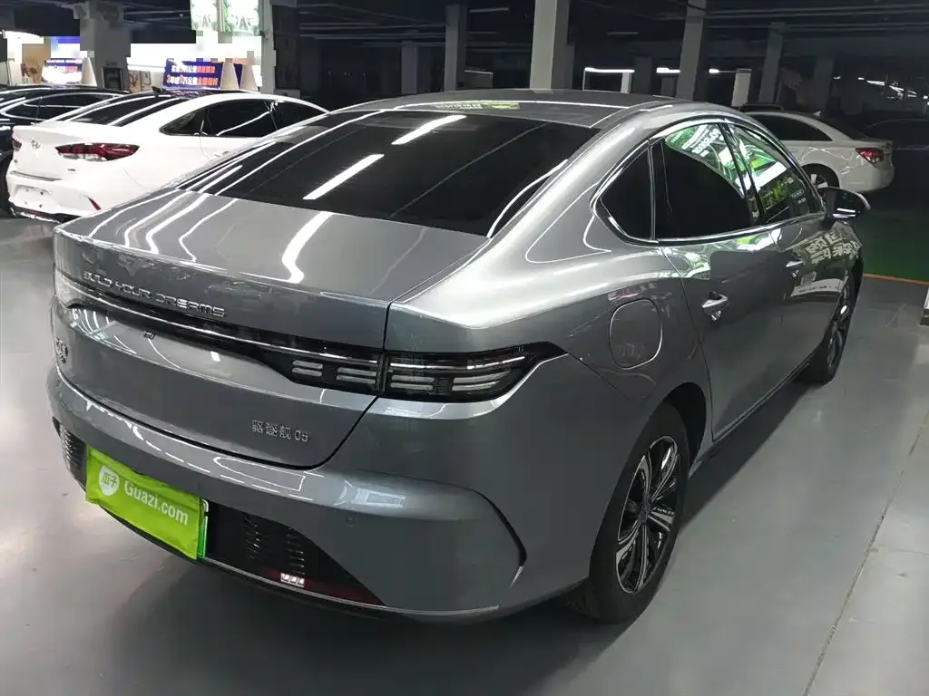 BYD Destroyer 05 2023 из CN, фото 4