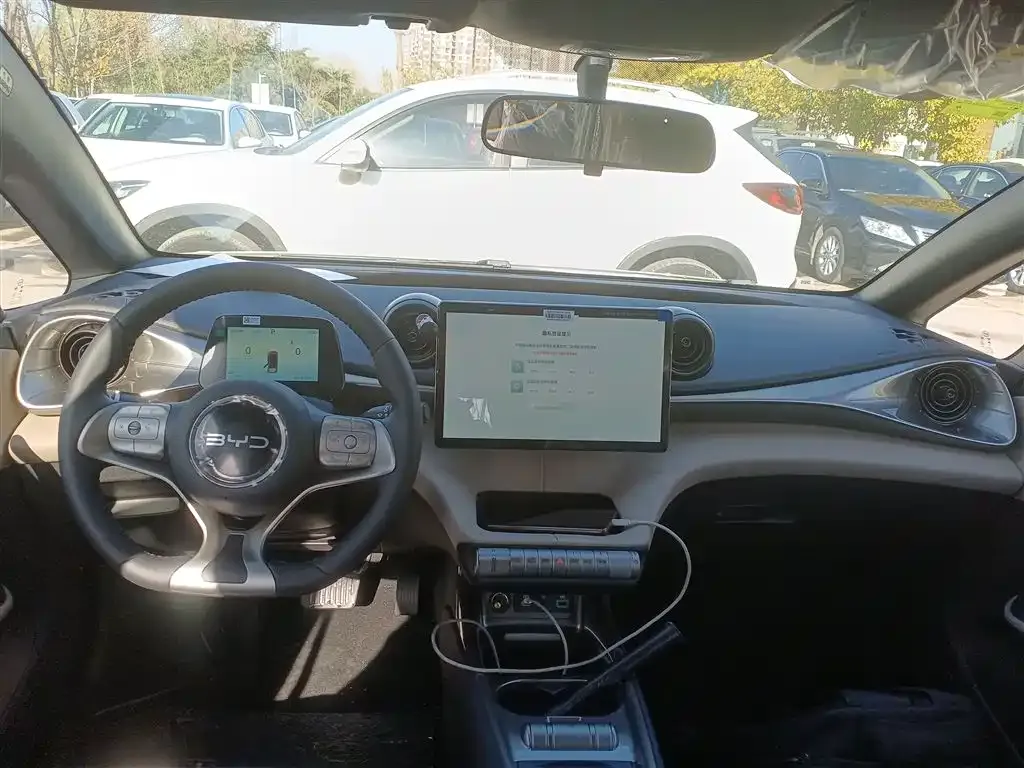 [object Object] Dolphin 2025 из CN, фото 10