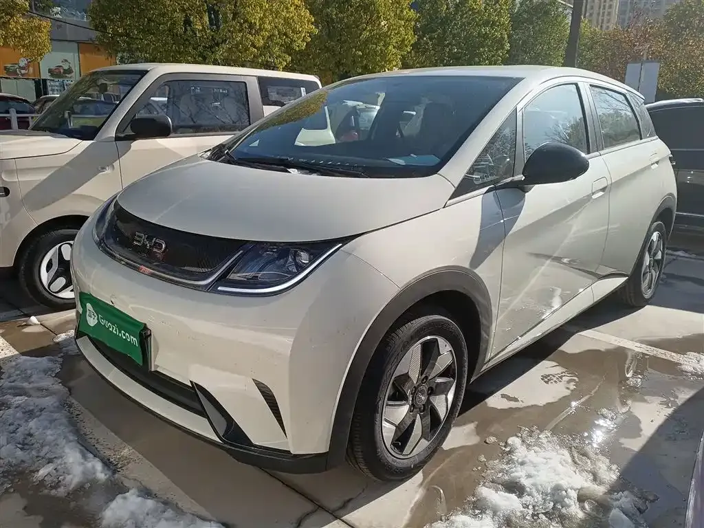 [object Object] Dolphin 2025 из CN, фото 2