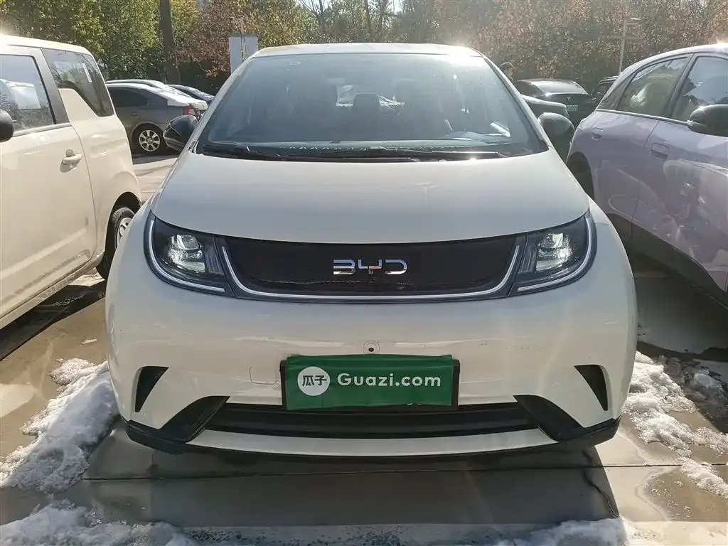 [object Object] Dolphin 2025 из CN, фото 3