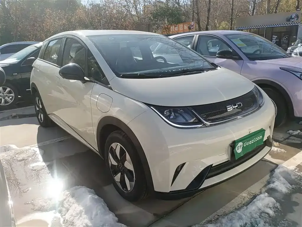 [object Object] Dolphin 2025 из CN, фото 4