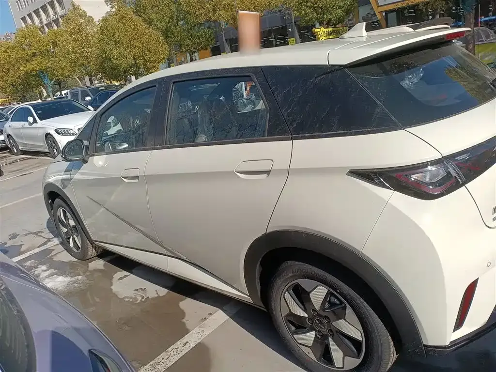 [object Object] Dolphin 2025 из CN, фото 5