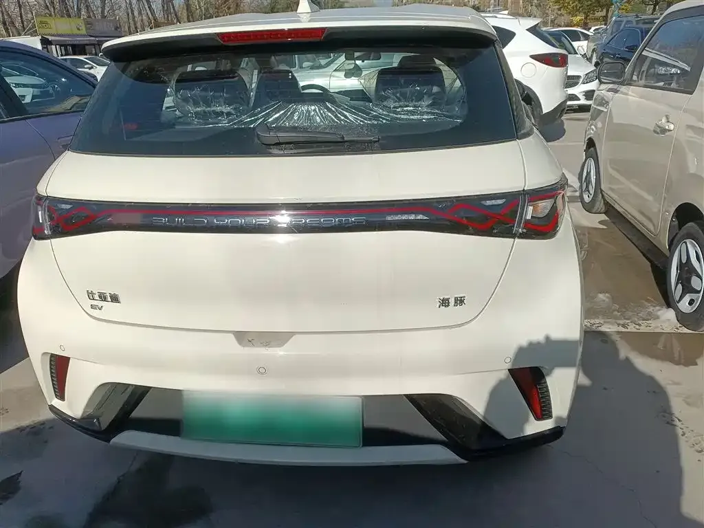 [object Object] Dolphin 2025 из CN, фото 6