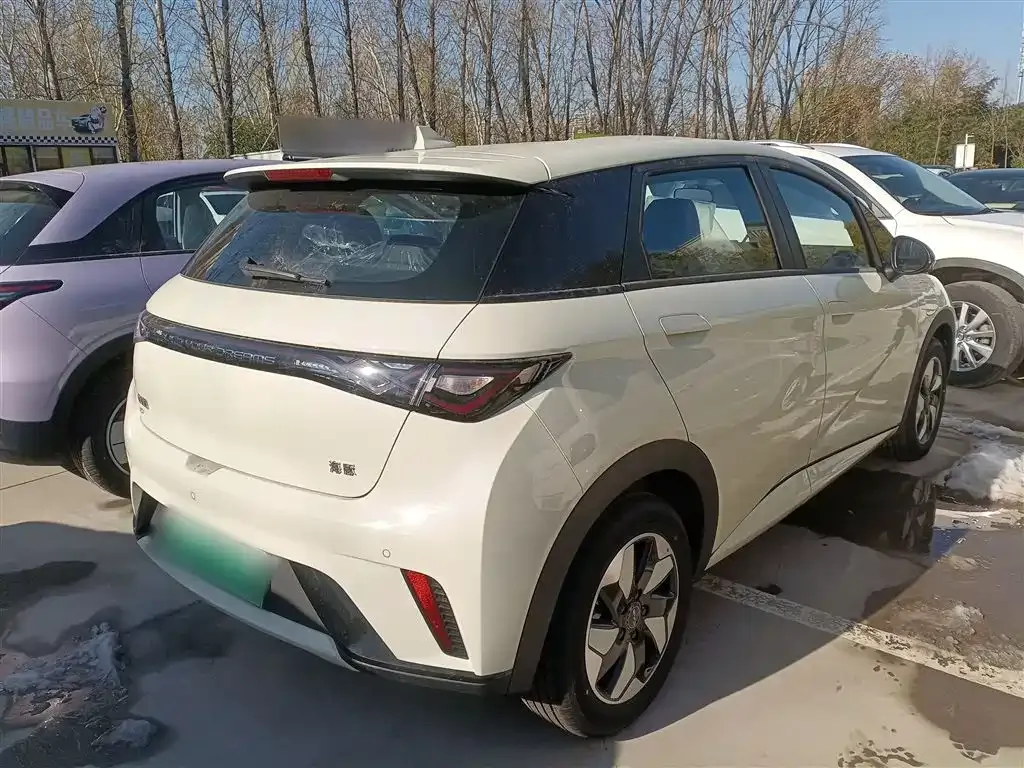 [object Object] Dolphin 2025 из CN, фото 7