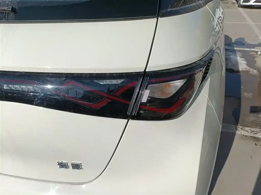 [object Object] Dolphin 2025 из CN, фото 8