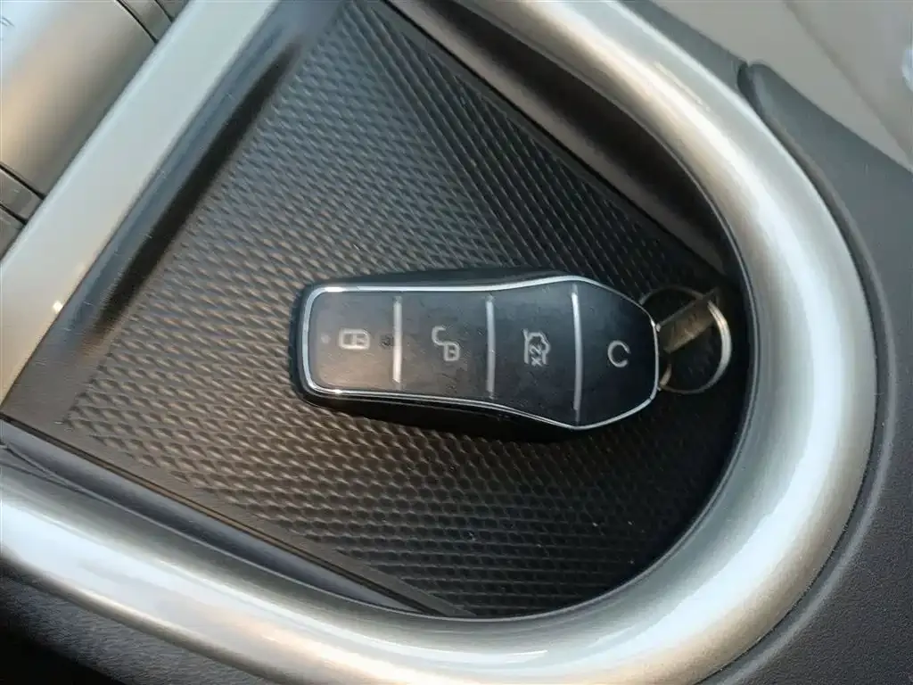 [object Object] Dolphin 2025 из CN, фото 9