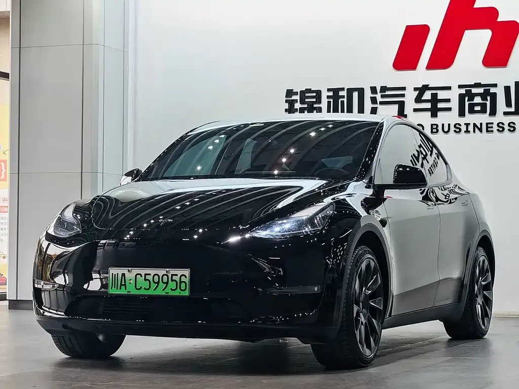 Tesla Model Y 2024 из CN, фото 1