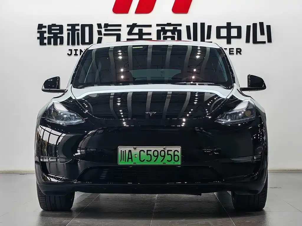 Tesla Model Y 2024 из CN, фото 8