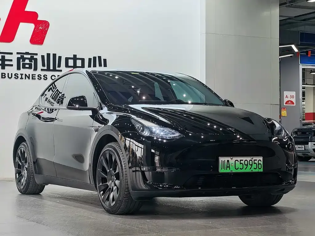 Tesla Model Y 2024 из CN, фото 5
