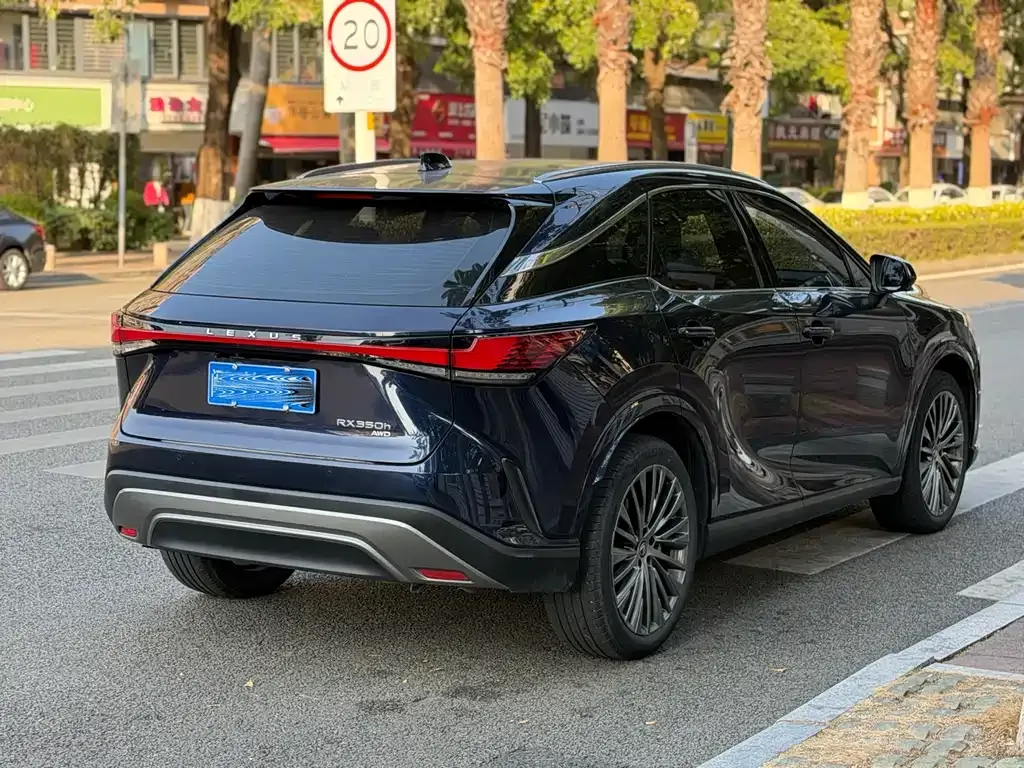 Lexus RX 2023 из CN, фото 6