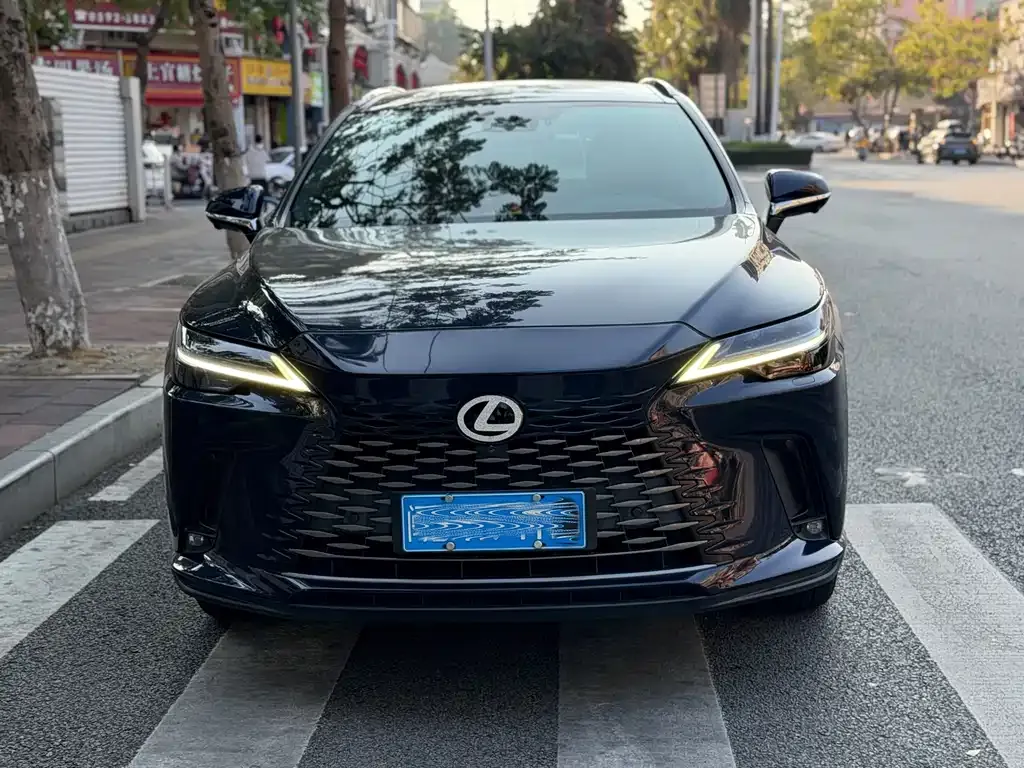 Lexus RX 2023 из CN, фото 4