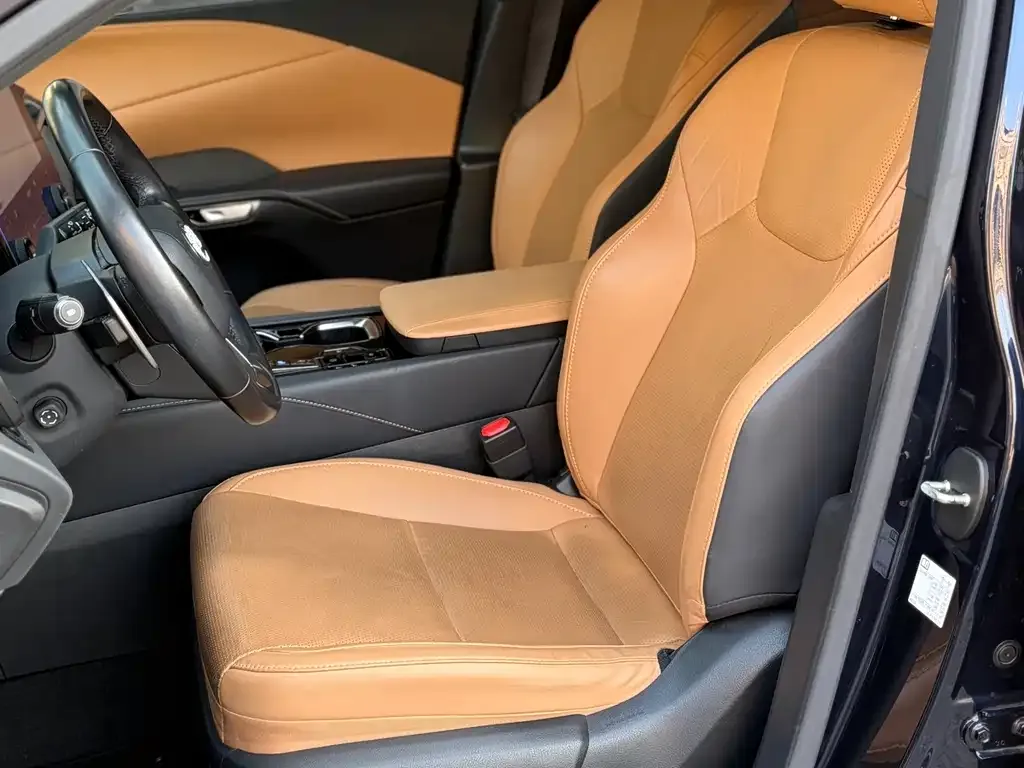 Lexus RX 2023 из CN, фото 5