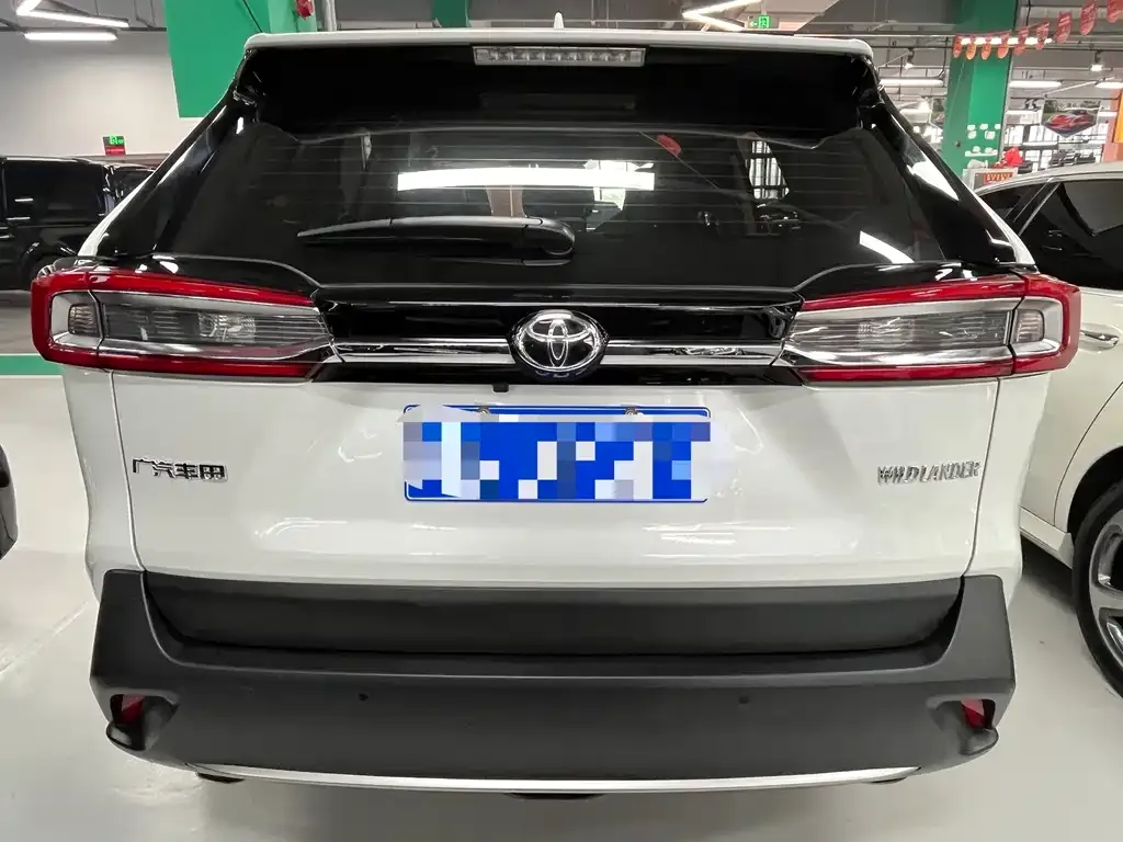 Toyota Wildlander 2021 из CN, фото 5