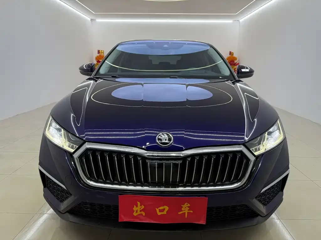 Skoda Octavia 2021 из CN, фото 2