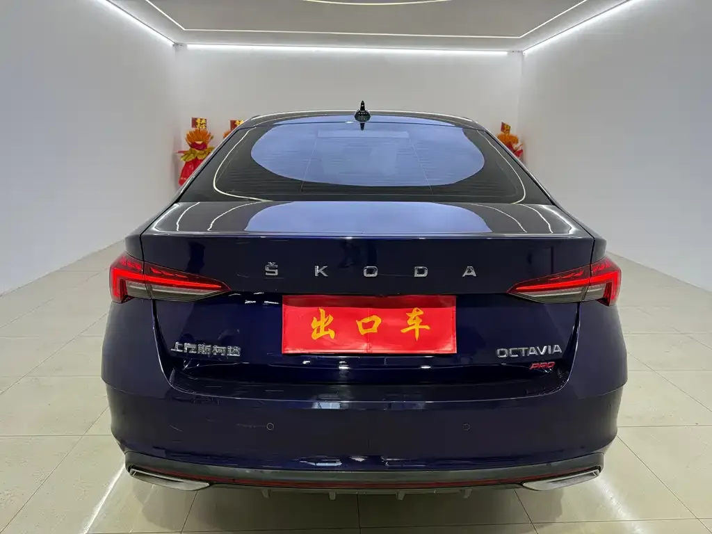 Skoda Octavia 2021 из CN, фото 5