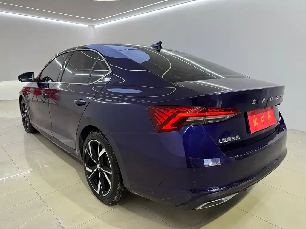 Skoda Octavia 2021 из CN, фото 6