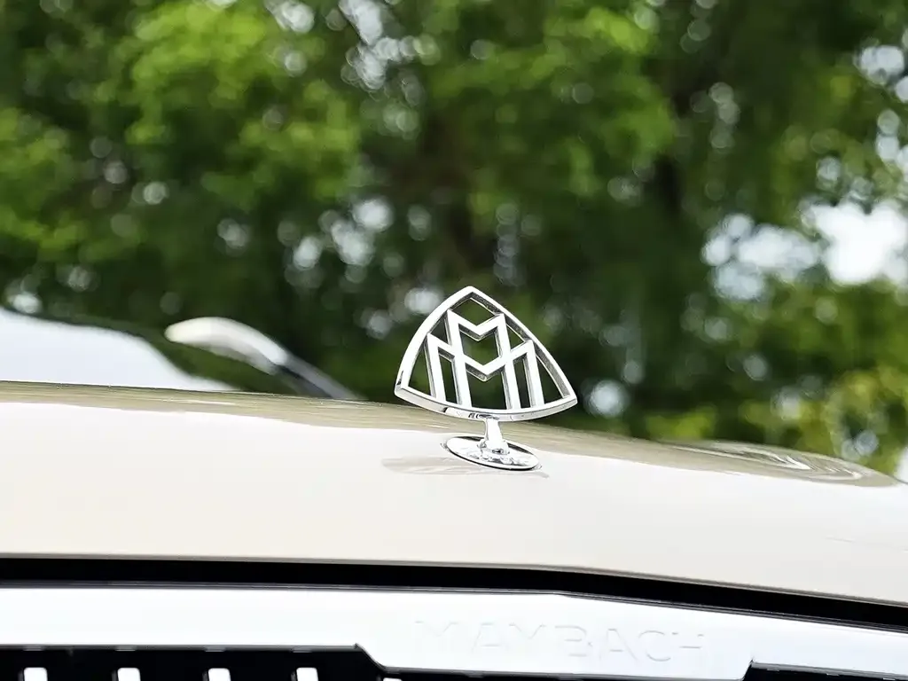 Mercedes-Benz GLS 2023 из CN, фото 4