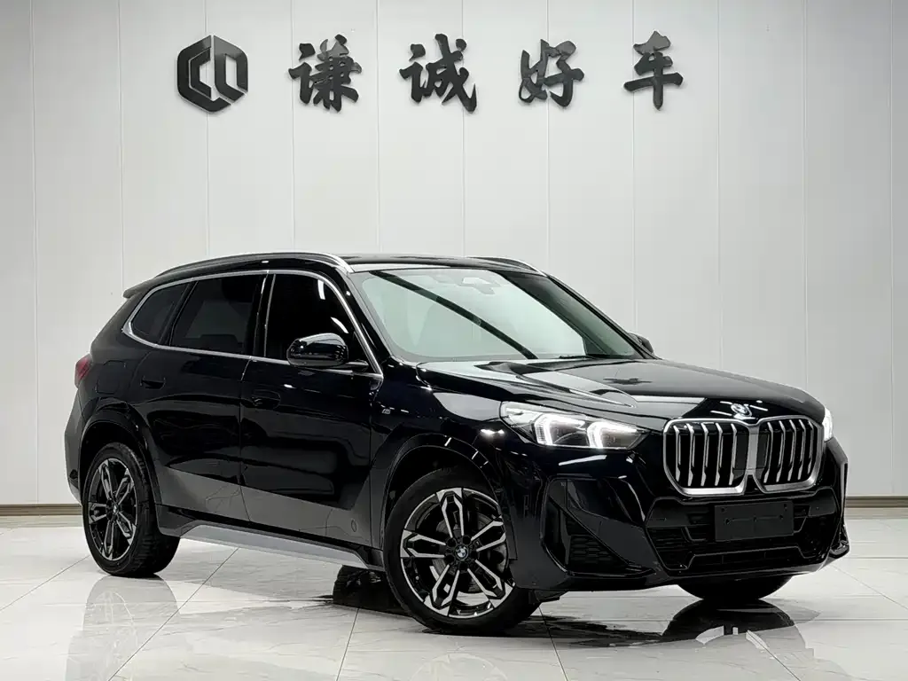 BMW X1 2024 из CN, фото 10