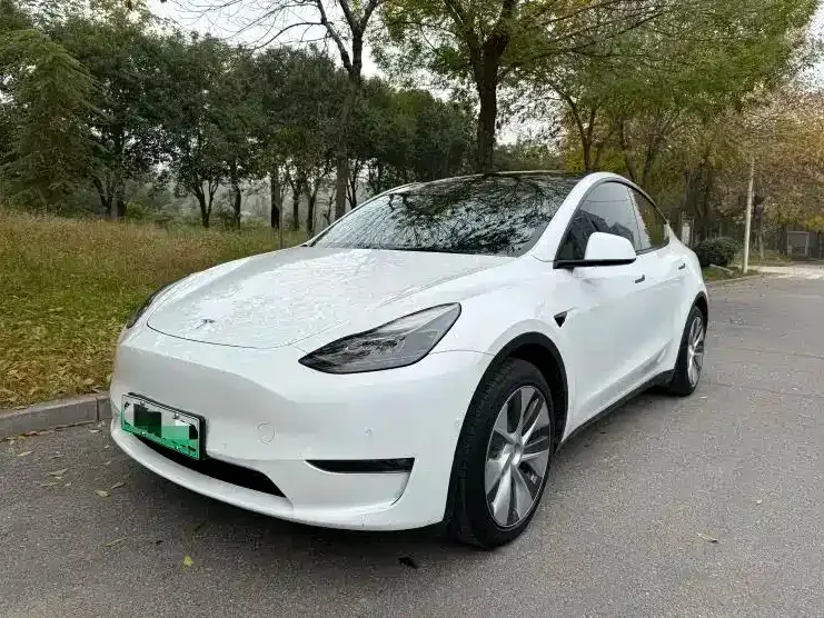 Tesla Model Y — фото 1