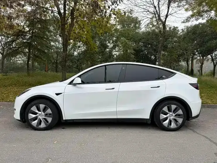 Tesla Model Y — фото 8