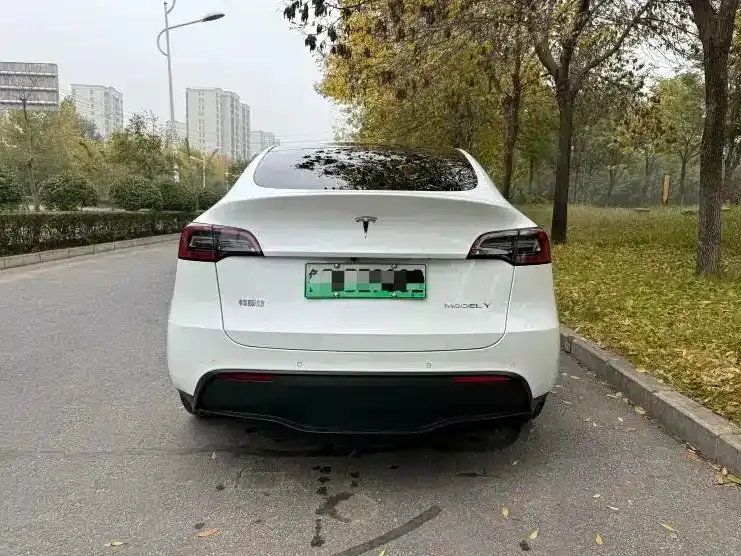 Tesla Model Y — фото 9