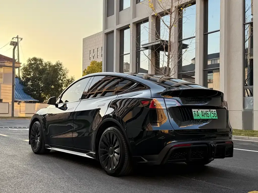 Tesla Model Y — фото 10