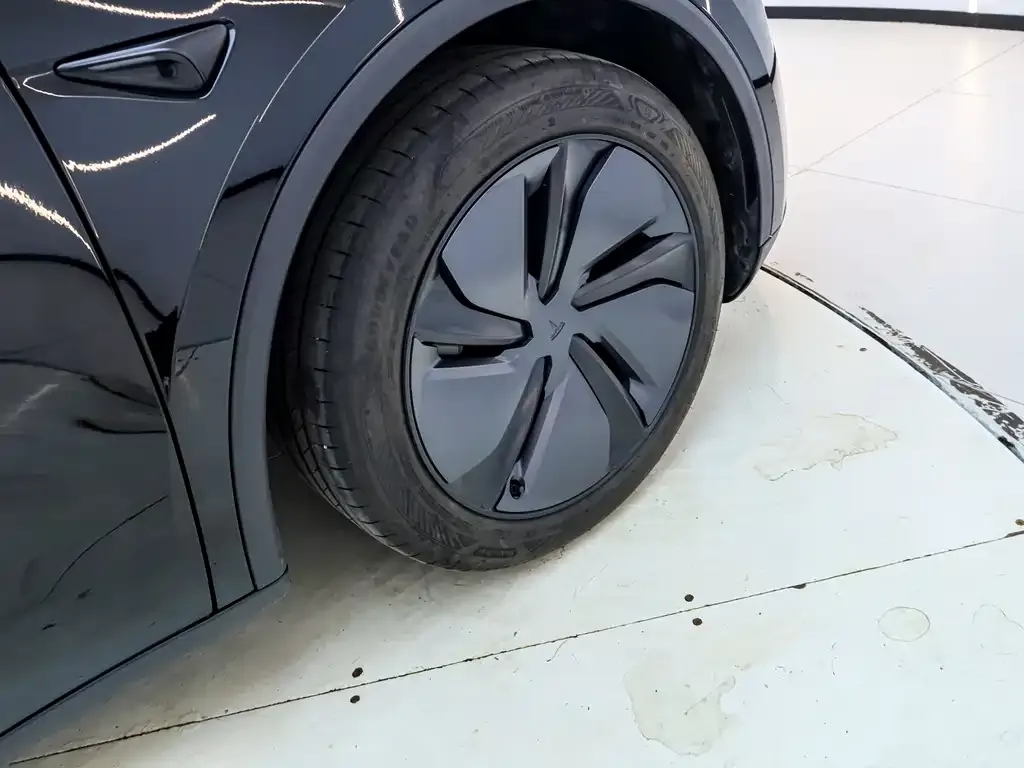 Tesla Model Y 2025 из CN, фото 6