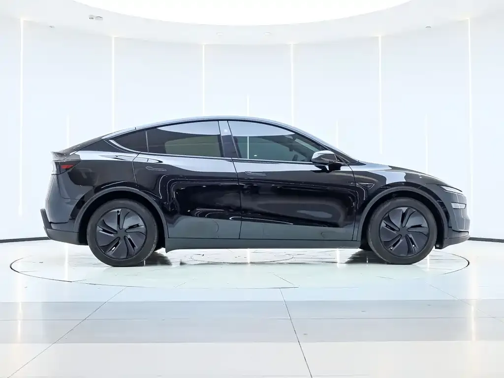 Tesla Model Y 2025 из CN, фото 5