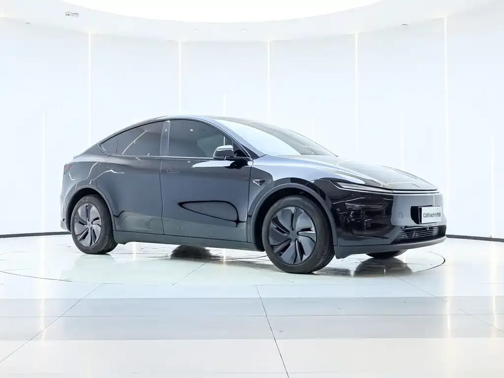 Tesla Model Y 2025 из CN, фото 7
