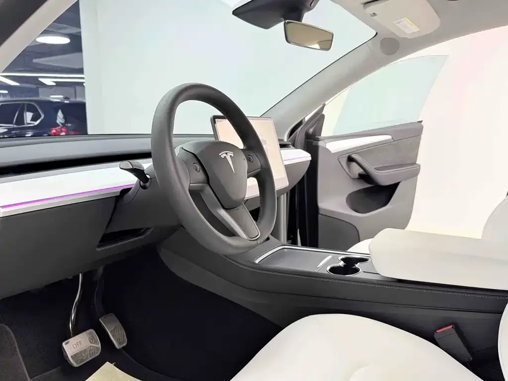 Tesla Model Y 2024 из CN, фото 7