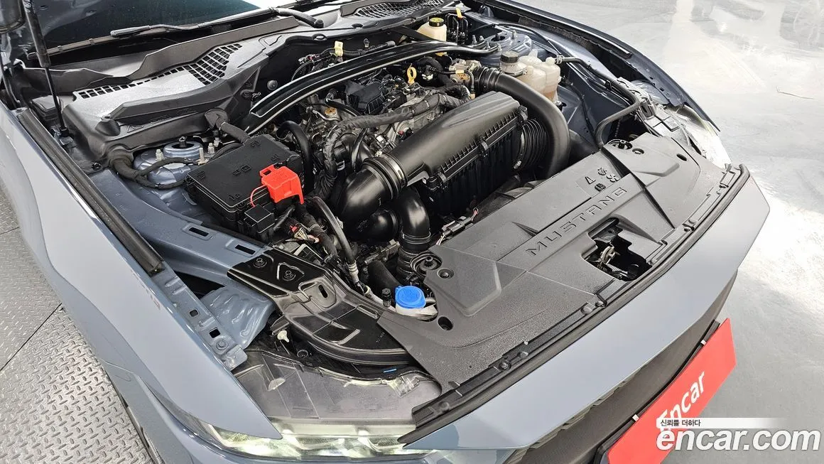 Ford Mustang 2024 из KR, фото 6