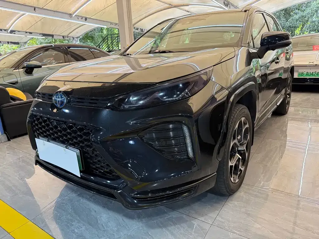 Toyota Wildlander New Energy 2021 из CN, фото 1