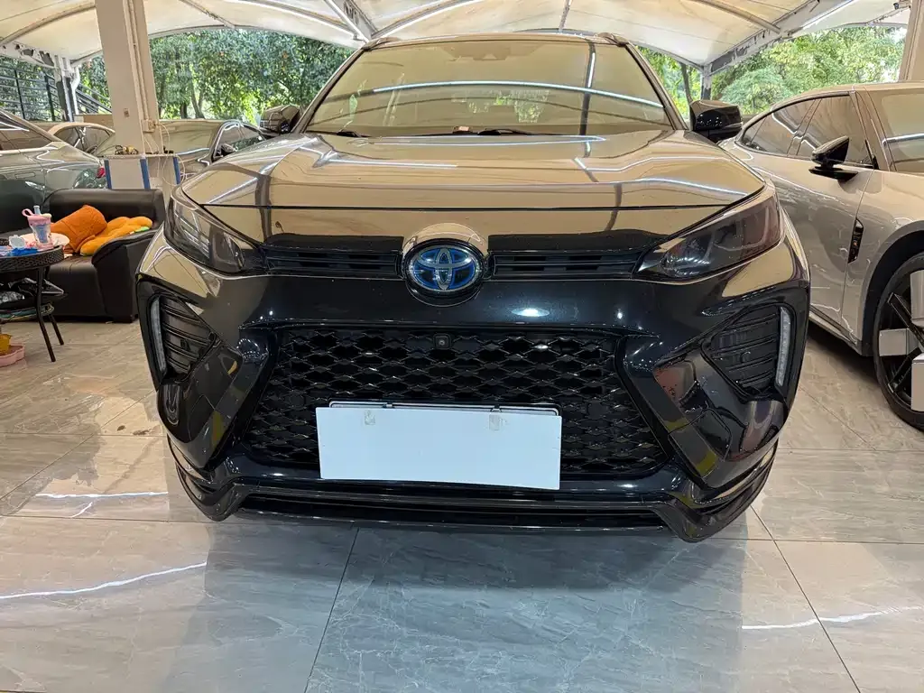 Toyota Wildlander New Energy 2021 из CN, фото 7